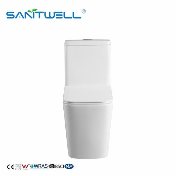 Sanitary Modern Chaozhou WC Bowl Wash Down ONE Piece Floor Toilet SWM8616