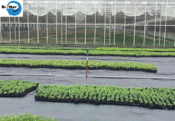 PP Woven Ground Cover Garden PP Woven Weed Barrier Control Mat Landscape Fabric