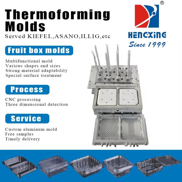Frutas Molde de caja Molde termoformado Molde de aluminio Embalaje de precisión