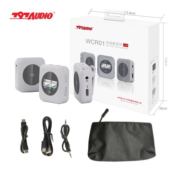 Wireless Microphone 2.4G Dual Channel USB Digital Output for Stage Ktv 20 Hz 20khz