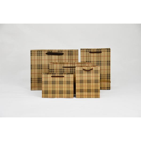 5Kg Weight Capacity Kraft Shopping Paper Bags  Eco Friendly Packaging Recycled