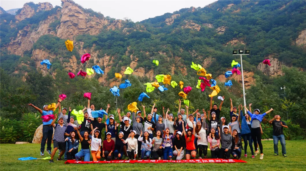 Portable Patio Heater Foldable Operate BBQ Wood Pellet Firepit Stainless Steel