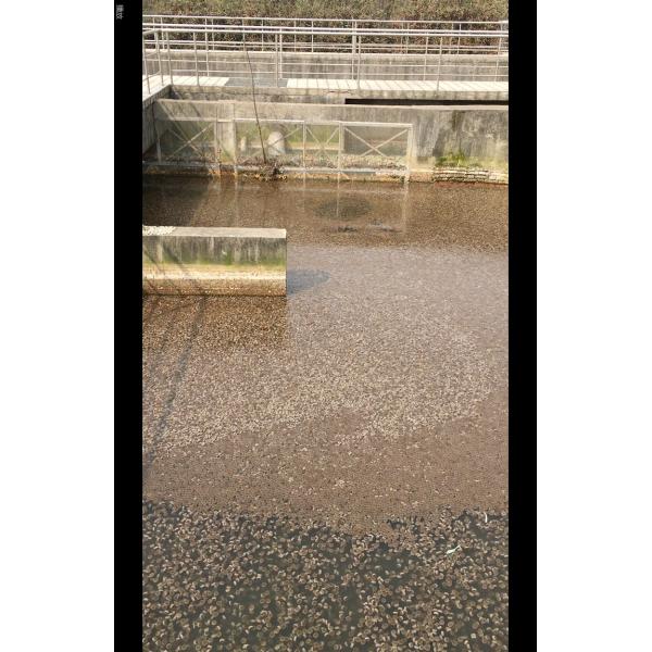 Резиновые & пластиковые сравненные MBBR фильтруют аквариум аквакультуры активного ила средств массовой информации отростчатый