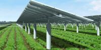 dispositivo de seguimiento solar solar 1000V del perseguidor ISO de los paneles de la sola fila 1P