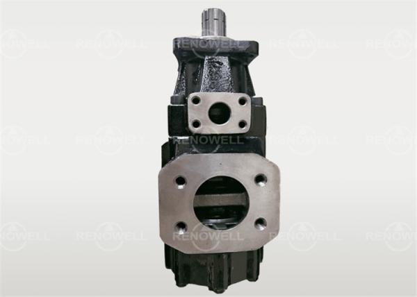 Renowell Denison Hydraulic Vane Pump T6CC T6DC T6EC T6ED For Plastic Machinery