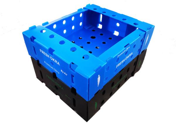 11lbs Fresh Okra PP Corrugated Plastic Packaging