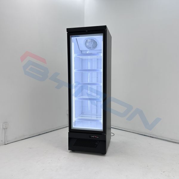Freestanding Upright Showcase Freezer Merchandiser Two Glass Door Freezer