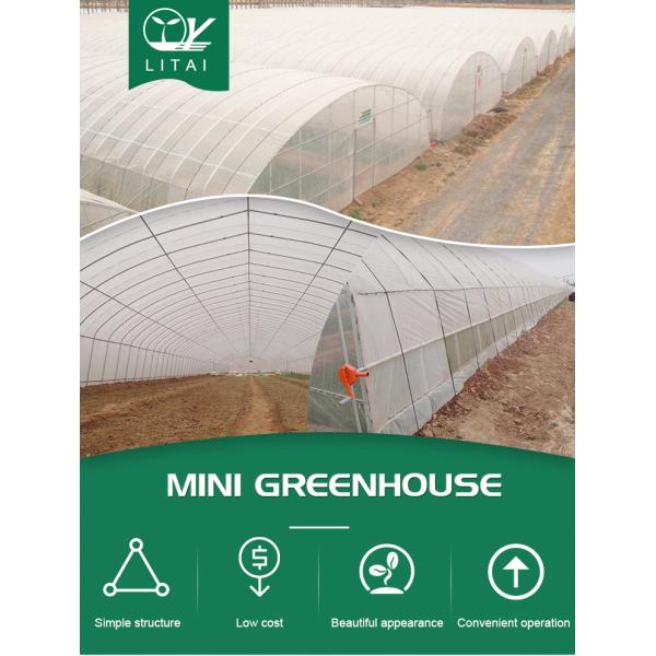 Поддержка Выбор случая Маленькая томатная гидропоническая теплица с обозначенной длиной