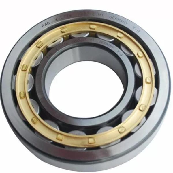 NUP311ECM C3 Single Row  Cage Cylindrical Roller Thrust Bearing