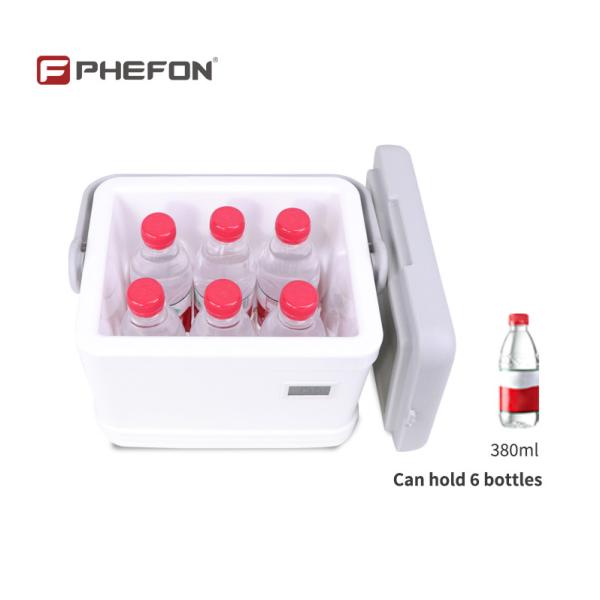 キャンプやピクニック用のPhefon 4.5Lアイスクーラーボックス