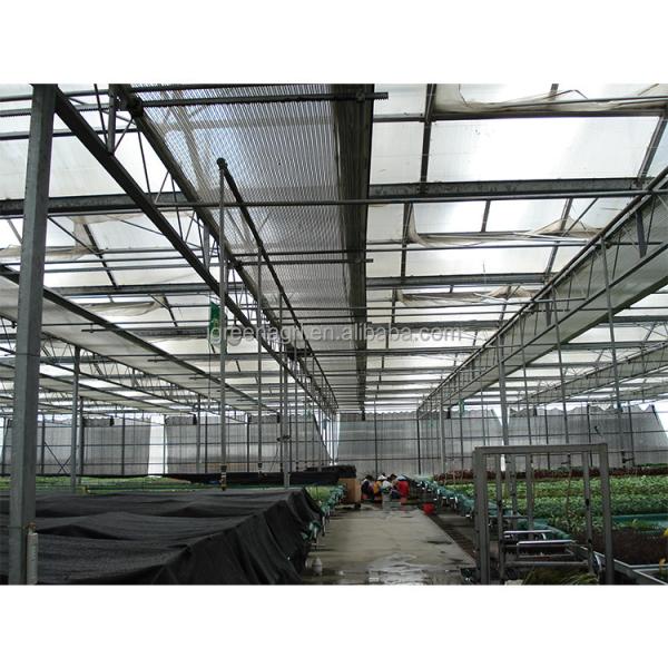 Customized Polycarbonate Sheet Greenhouse For Year Round Flower And Vegetable Growth