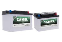 Batterie d'acide de plomb EFB d'arrêt de début de voiture de BCI 12V 50Ah pour des véhicules