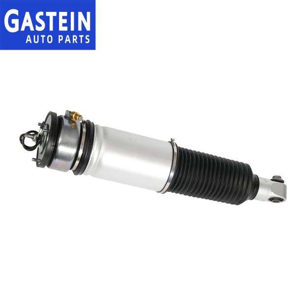 37126785536 Rear BMW X5 E70 Rear Suspension Air Bag