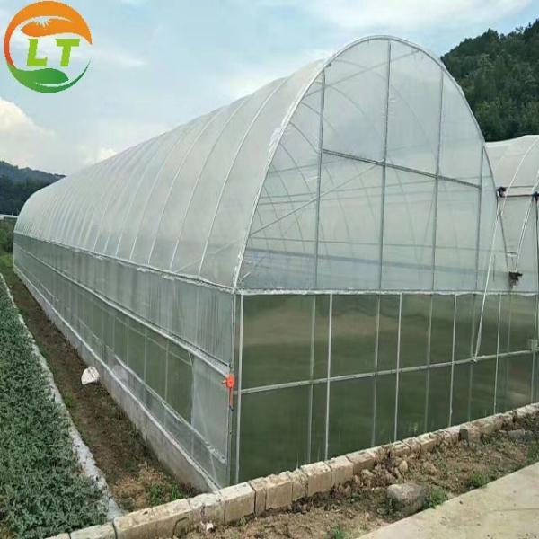 High Land Utilization Single-Span Greenhouse by LiTai Super Strong Resistance Guaranteed
