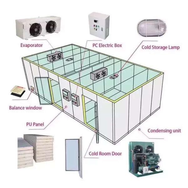 Painted Steel Stainless Steel Walk In Freezer Storage Cold Room For Frozen Food