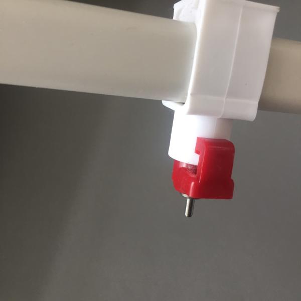 Pvc Pipe Chicken Feeders Broiler Poultry Equipment For Drinking Line