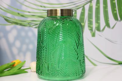 Decoração de vasos de vidro de arte hidropônica transparente verde para casa Decoração de loja de flores de hotel