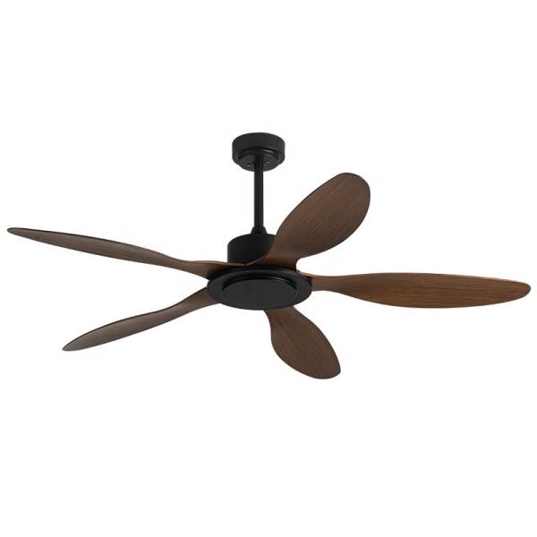 Ventilateur de plafond d'intérieur moderne de 56 pouces avec conversion de fréquence, 5 pales en ABS, télécommande, parfait pour toutes les pièces