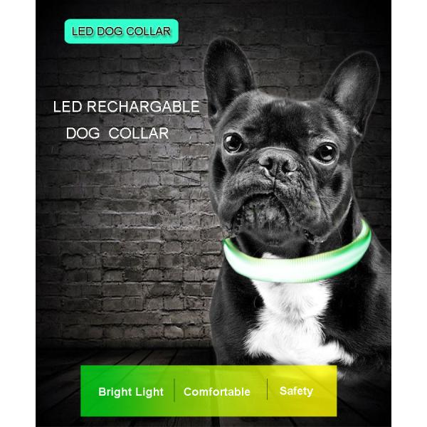 Pet LED Dog Collar Light Premium Waterproof Adjustable Luminous Training Nylon Printed