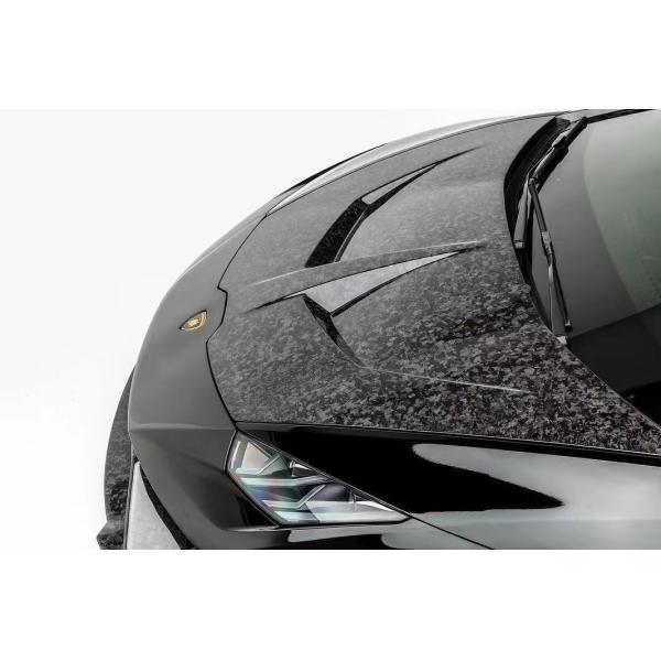 Para el Lamborghini LP580 LP610 EVO Capó de fibra de carbono LP580 LP610 EVO 1016 Tipo Capó del motor de fibra de carbono