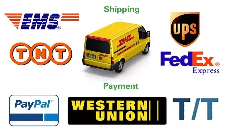 Fanless Industrial PC with All Aluminum Alloy Casing Multiple OS Support and WIFI Intel Core i5 DDR4 RAM