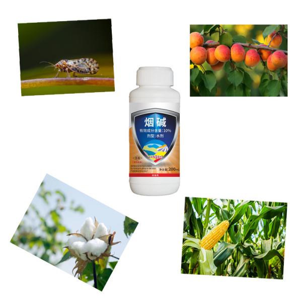 Natural 10% Nicotina AS Repolho Algodão Pesticidas de culturas de algodão Aphids Controle de gafanhotos