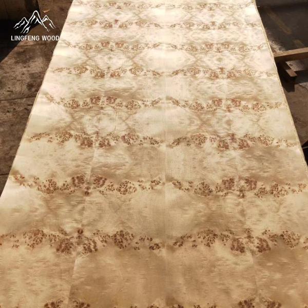 Mappa Burl Veneer Poplar Burl Jointed Panel for Fancy Furniture Making