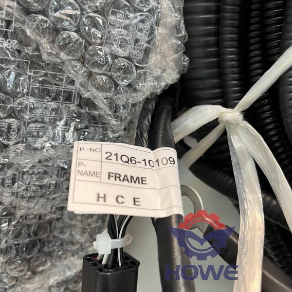 HOWE Brand R210LC-9 Excavator Wiring Harness 21Q6-10109 External Wire Harness with 1 Piece MOQ