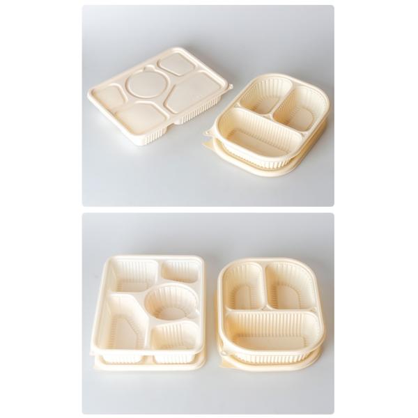 10 Inch 3 Compartments Cornstarch Tableware Bento Biodegradable Cornstarch Food Containers