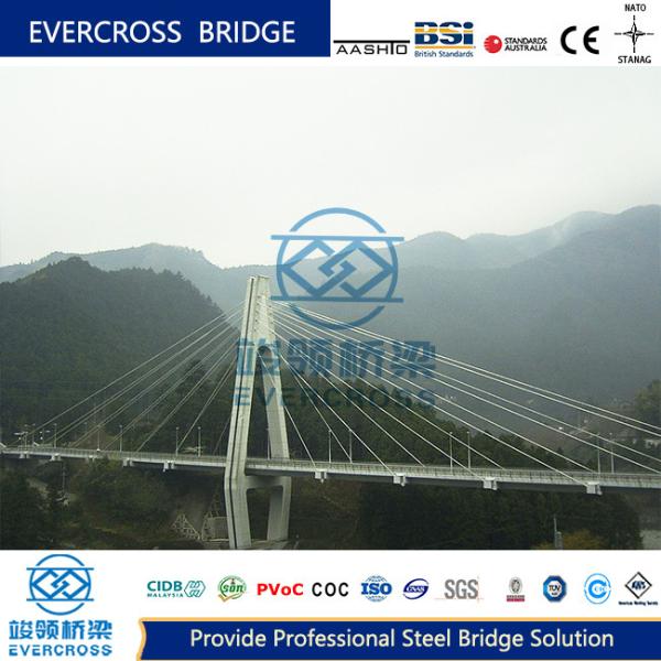 OEM ODM Single Tower Cable Stayed Suspension Bridge Flexible Structure