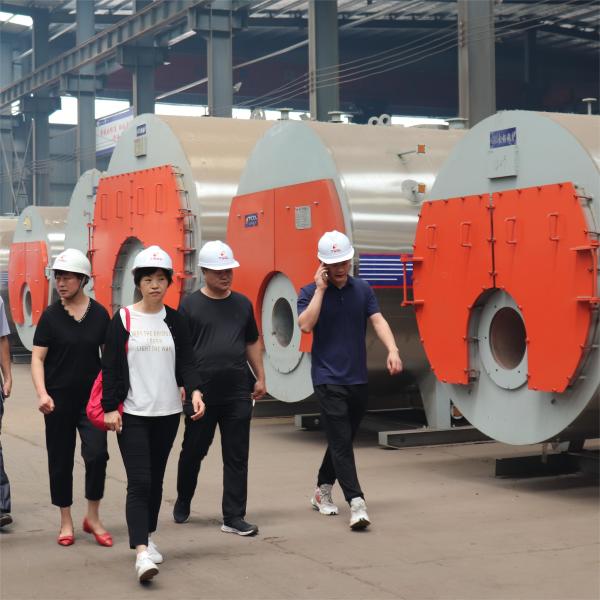 Horizontal 1-20t/H Chain Grate Biomass Steam Boiler For Aquaculture Industry