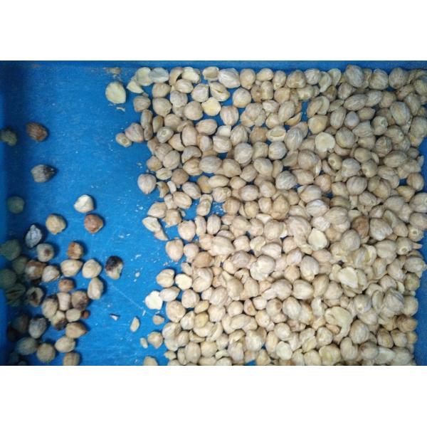 2023 Новый дизайн CCD Nuts Color Sorter Машина для разделения цвета грецкого ореха кешью кокосового ореха