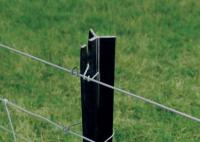 Poteaux en Y à charge lourde pour le ranch avec une surface galvanisée noire et une forme en Y sans dents