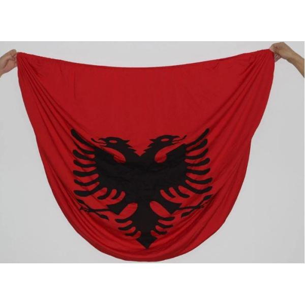 Eco - Friendly Car Engine Hood Cover Word Cup Team Flag Type Car Hood Plastic Cover