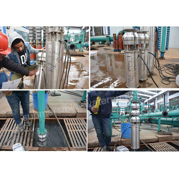 SUS304 Подводный фонтанный насос / Подводный фонтанный насос с ISO9001