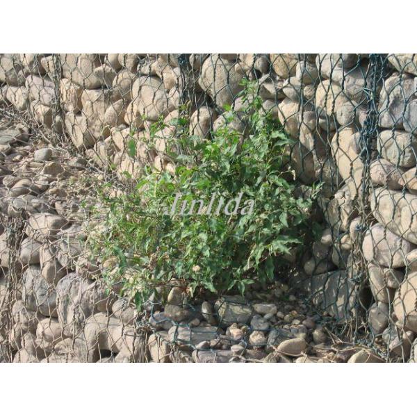 сетка 60*80mm Gabion делая машину для Gabion кладет предохранение от в коробку берега озера