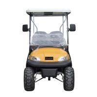 lifted Electric Golf Car Off Road Hunting Car with Lithium Battery & Curtis Controller Flip Flap Seat