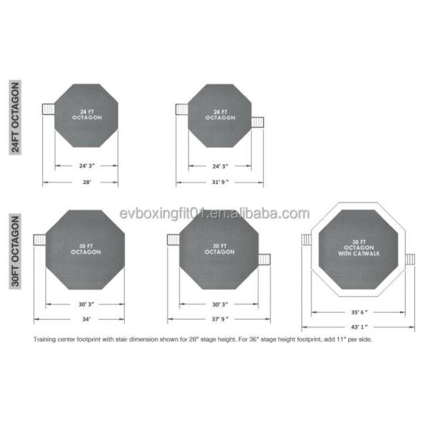 International Standard MMA Octagon Cage