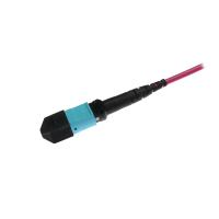 Om4 Multimode Fiber Patch Cord Plenum Mm Mtp Mpo 12 Conector
