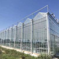 Serre à pommes de terre en polycarbonate à longue portée avec système d'irrigation