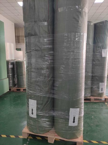 tela não tecida do spunlace por Trützschler com 10000 toneladas pelo ano