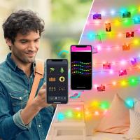 Ficelle décorative de contrôle imperméable extérieur d'Ip44 Amazone Alexa Smart Light Bulbs Remote