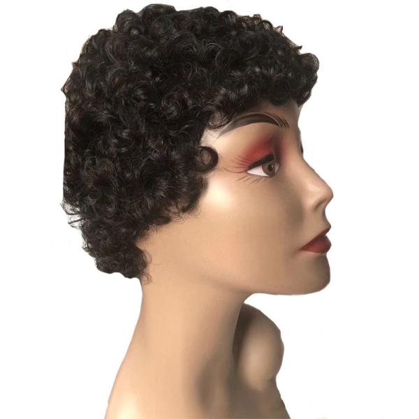 100% Human Hair Wigs for Black Women Short Pixie Cut Wigs Affordable Prices Sell
