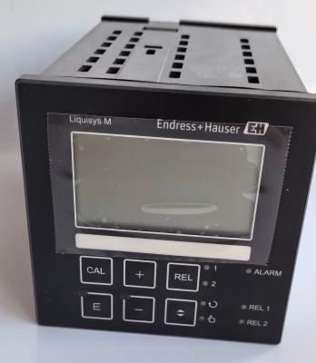Transmetteur pH/ORP Endress Hauser IP65 CPM223-MR0005, montage sur panneau