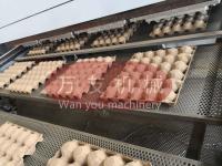 Huevo de alta calidad Tray Machine de la pulpa del papel usado del bajo costo de Wanyou pequeño