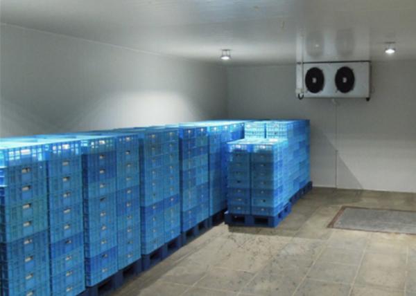 Fruit / Vegetable Cooler Modular Cold Rooms With 50 ~ 200mm Pu Sandwich Panel