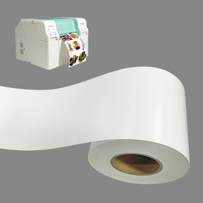 papel da foto de 260gsm Minilab para o papel da foto do cetim das impressoras de Fuji Epson 65 medidores de Rolls