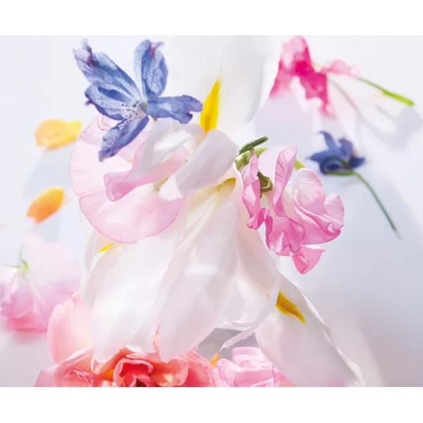 Free Samples Miss Di Or Cherie Perfume Fragrance Oil Day And Night Using