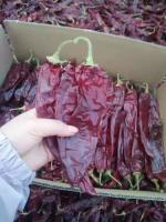 le shu 500 a séché Guajillo Chili Sweet Paprika Pepper BRC /Halal /ISO