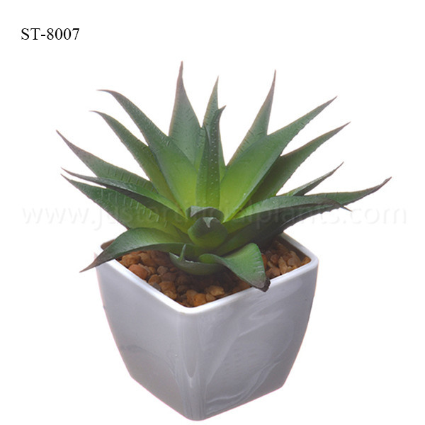 Succulents небольшого завода 14cm искусственные, поддельные в горшке Succulents